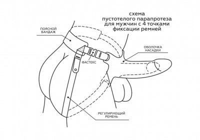 Мужской парапротез D 48 мм, L 155 мм,