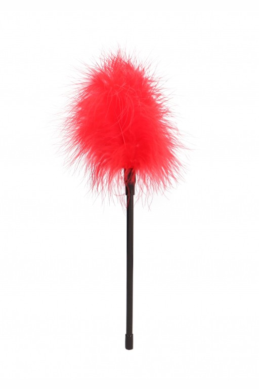 Пуховка (перьевая кисточка, щекоталка) Feather