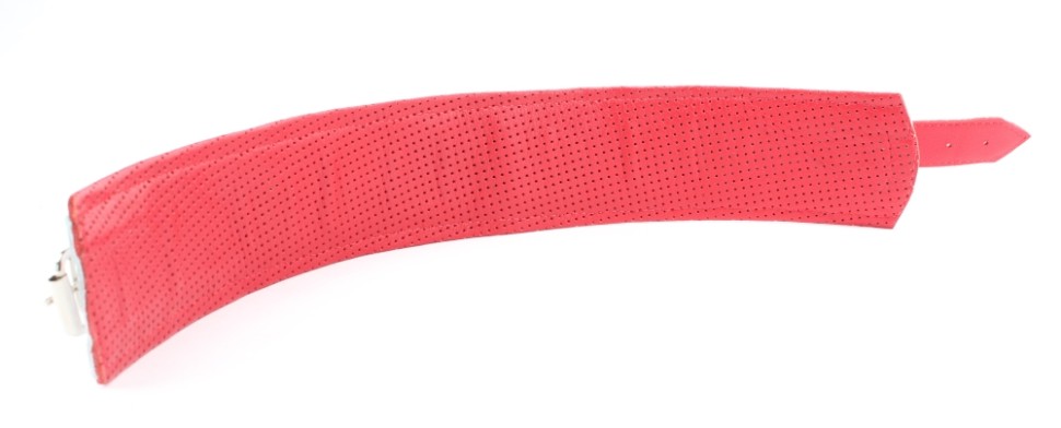 Ошейник белый с кольцом