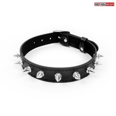 Ошейник с шипами L 420 мм, цвет чёрный арт